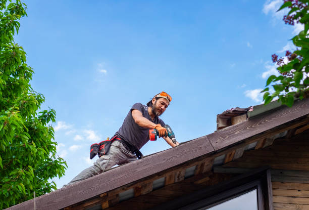 Best Storm Damage Roof Repair  in Campbell, OH